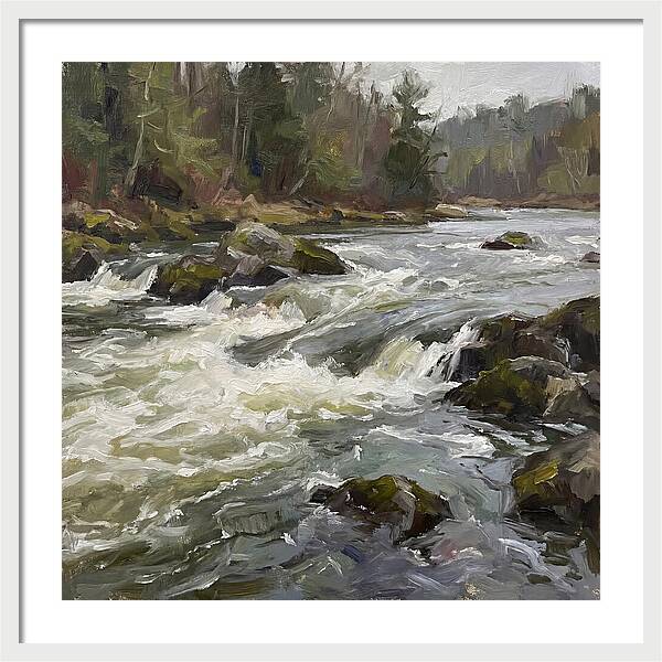 Rushing Rapids In Nature