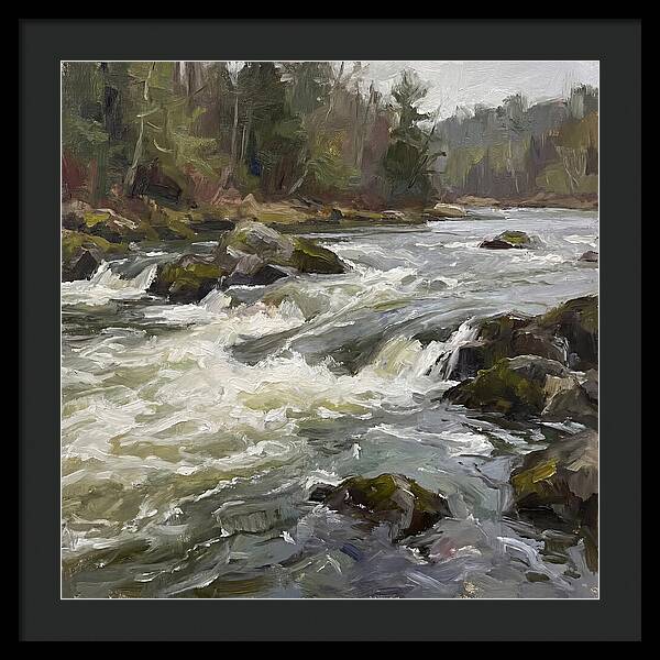 Rushing Rapids In Nature