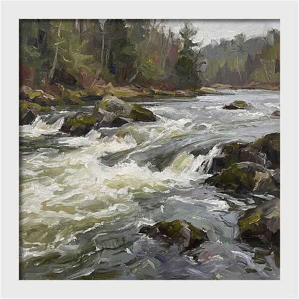 Rushing Rapids In Nature