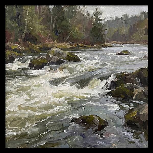Rushing Rapids In Nature