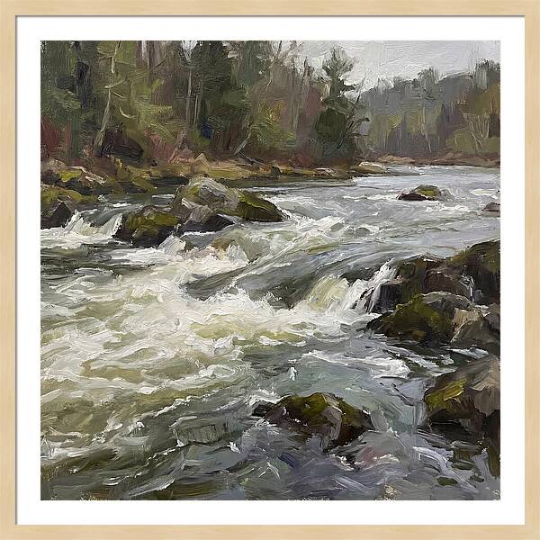 Rushing Rapids In Nature