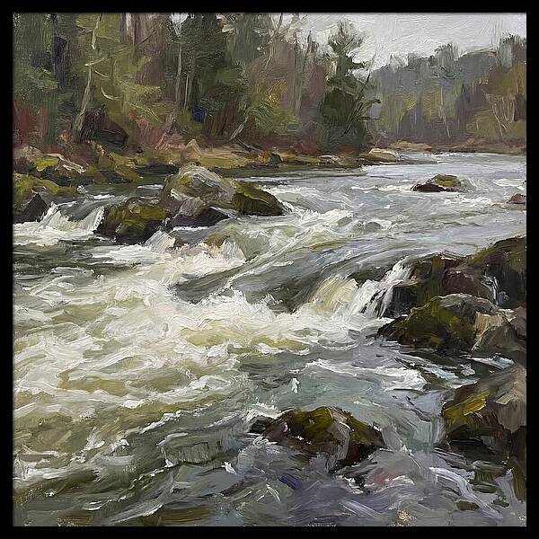 Rushing Rapids In Nature
