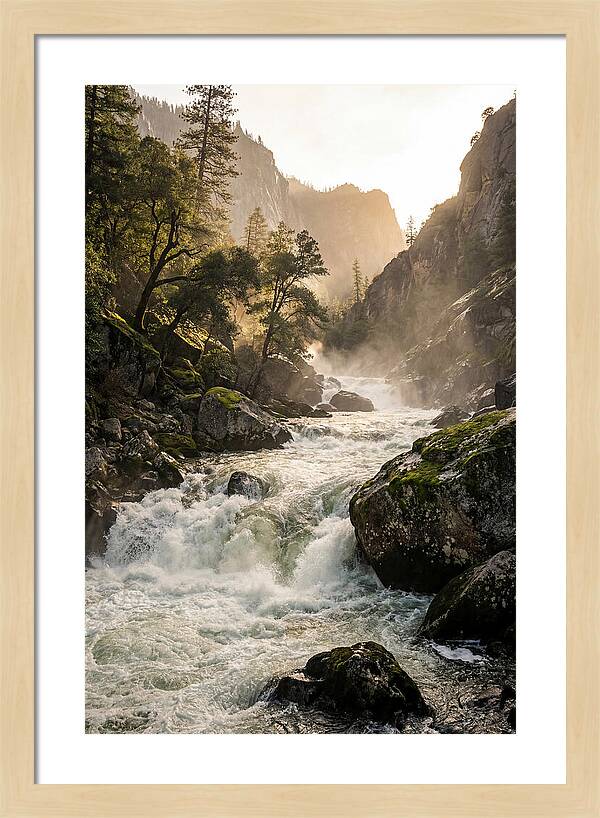 Rushing Waterscape