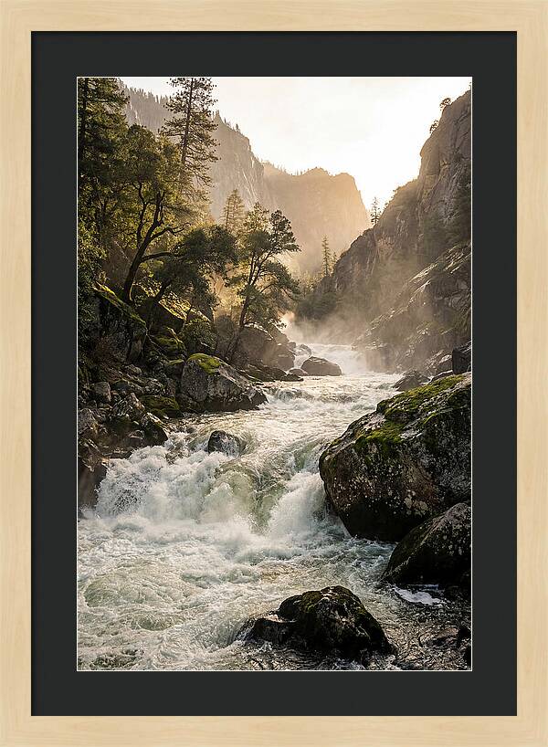 Rushing Waterscape