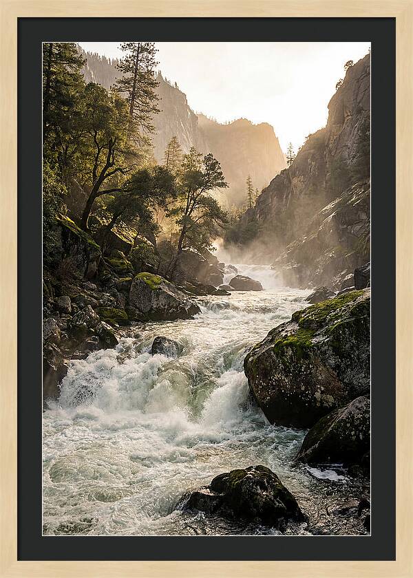Rushing Waterscape