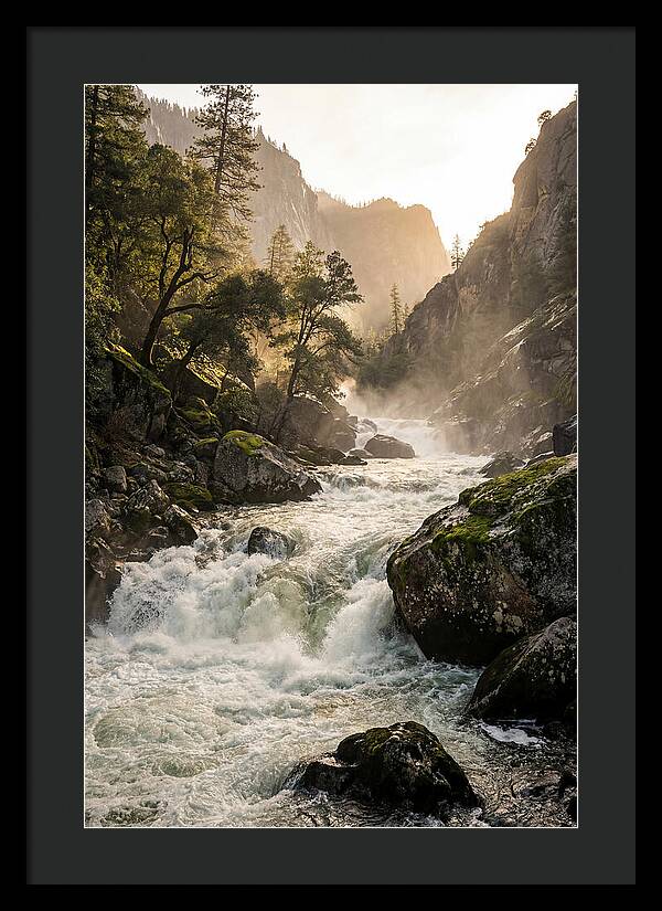 Rushing Waterscape