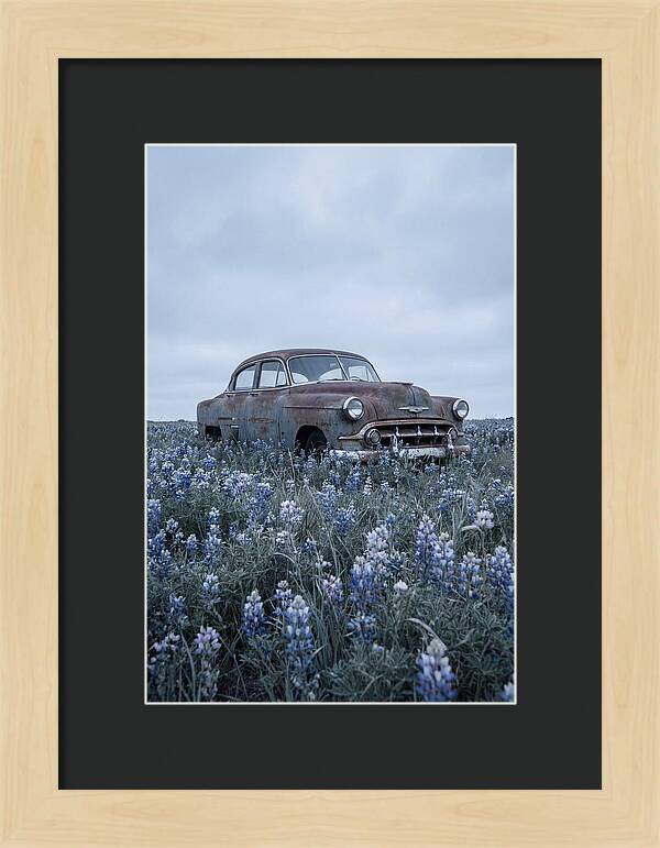 Rusted Classic Car Among Wildflowers