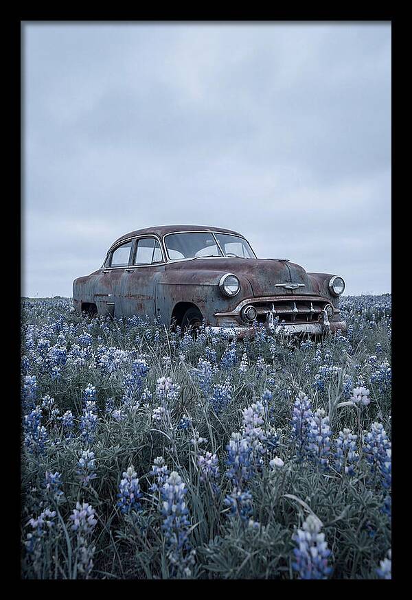 Rusted Classic Car Among Wildflowers