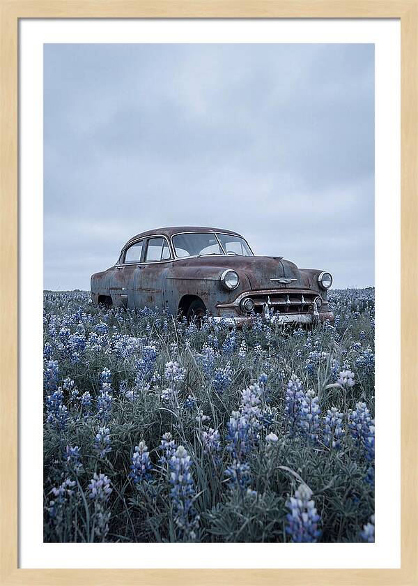 Rusted Classic Car Among Wildflowers