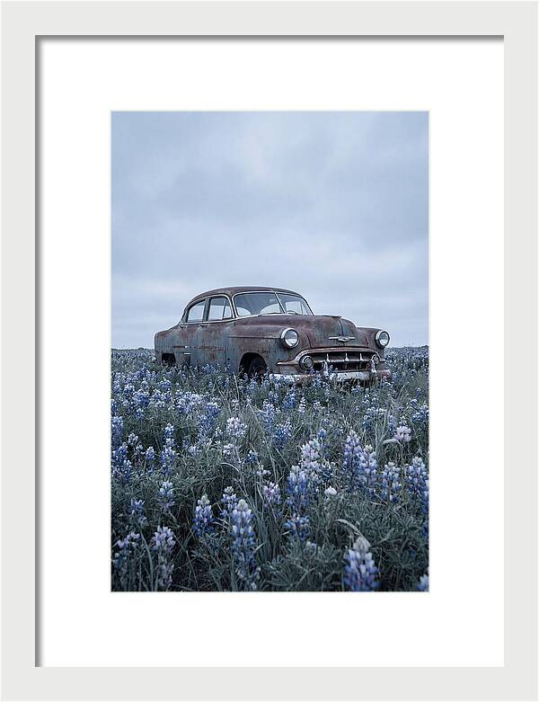 Rusted Classic Car Among Wildflowers