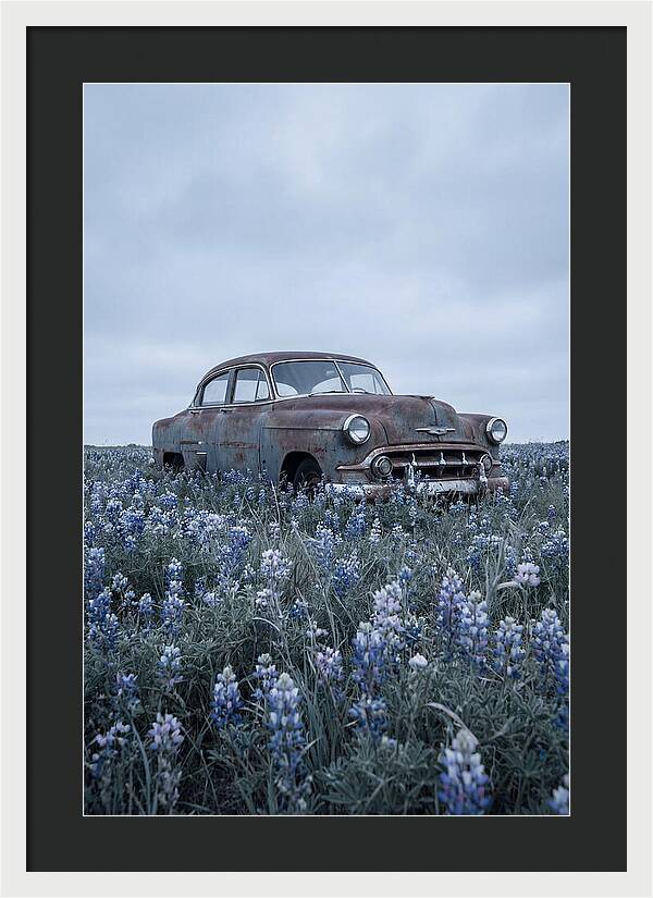 Rusted Classic Car Among Wildflowers