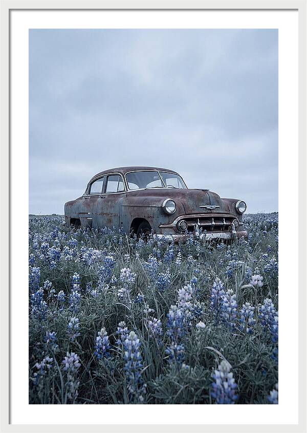 Rusted Classic Car Among Wildflowers