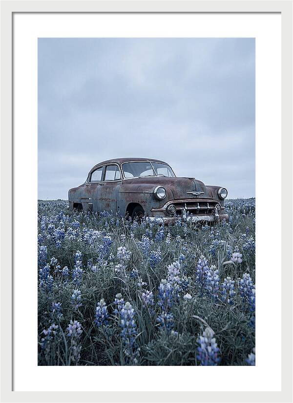 Rusted Classic Car Among Wildflowers
