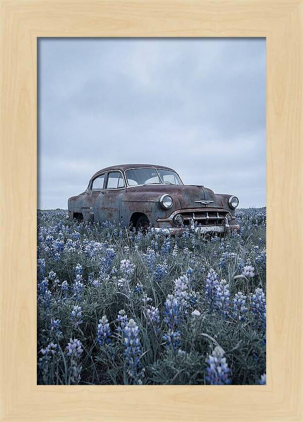 Rusted Classic Car Among Wildflowers