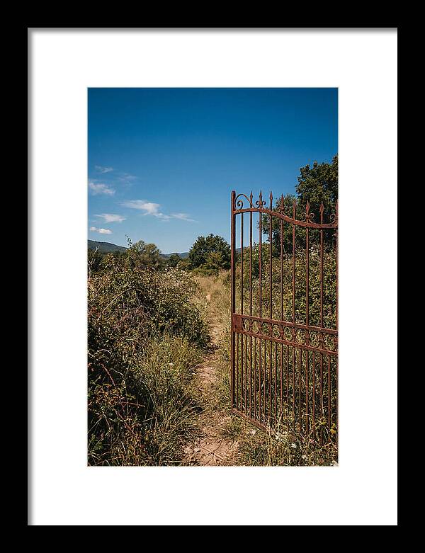 Rusted Iron Gate To Natures Embrace