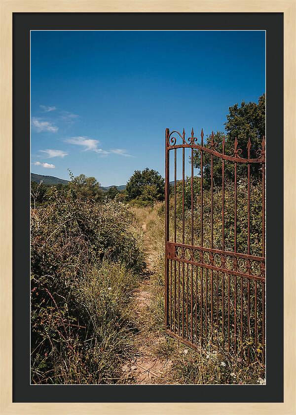 Rusted Iron Gate To Natures Embrace