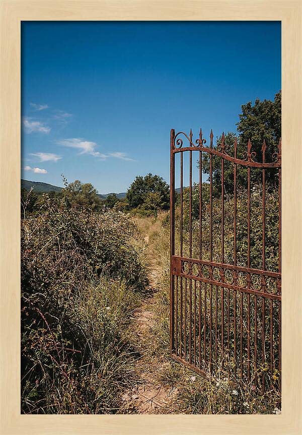Rusted Iron Gate To Natures Embrace