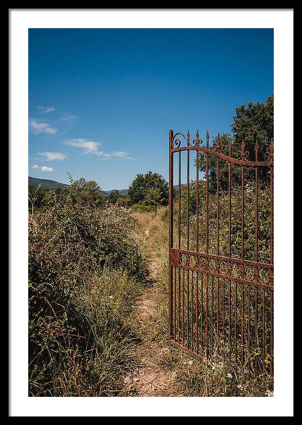 Rusted Iron Gate To Natures Embrace
