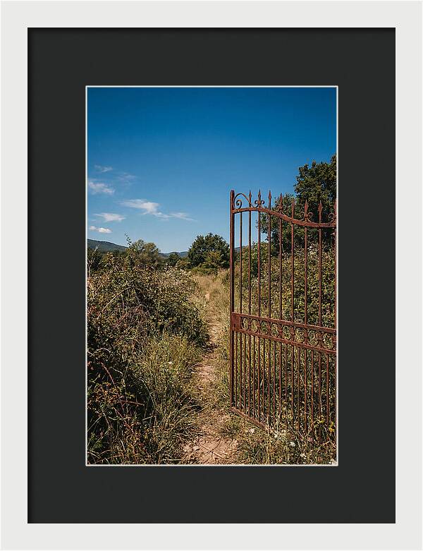 Rusted Iron Gate To Natures Embrace