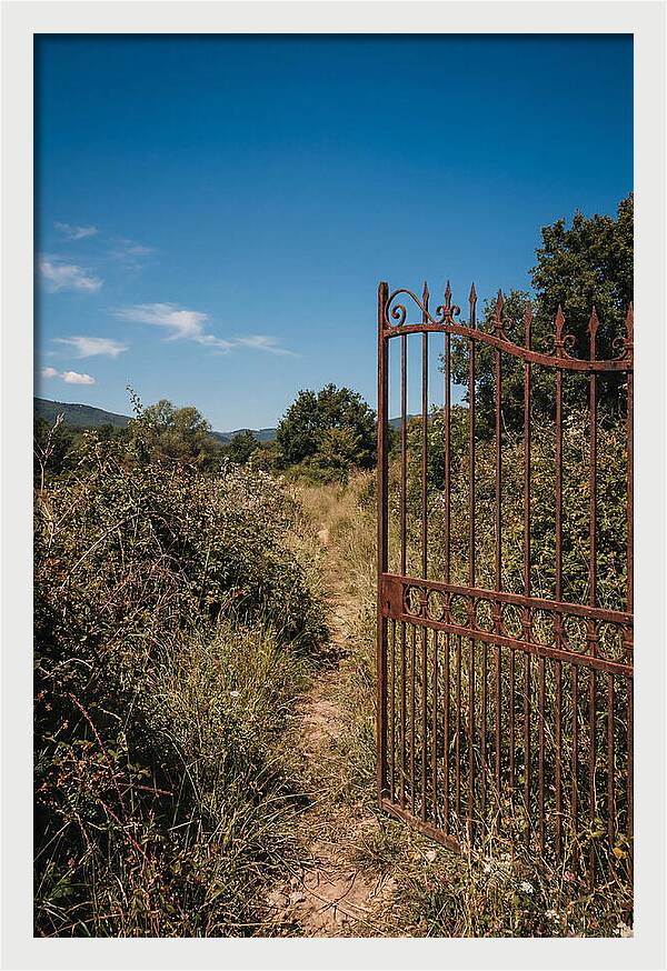 Rusted Iron Gate To Natures Embrace
