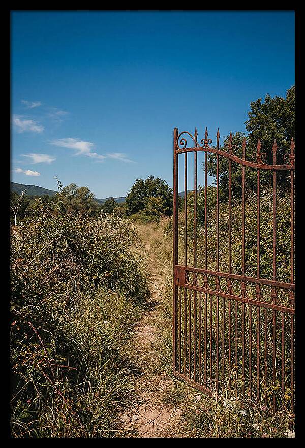 Rusted Iron Gate To Natures Embrace