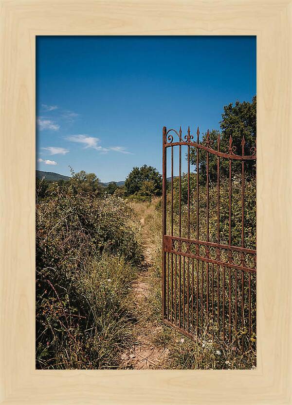 Rusted Iron Gate To Natures Embrace