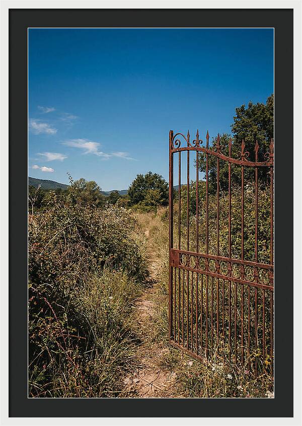 Rusted Iron Gate To Natures Embrace