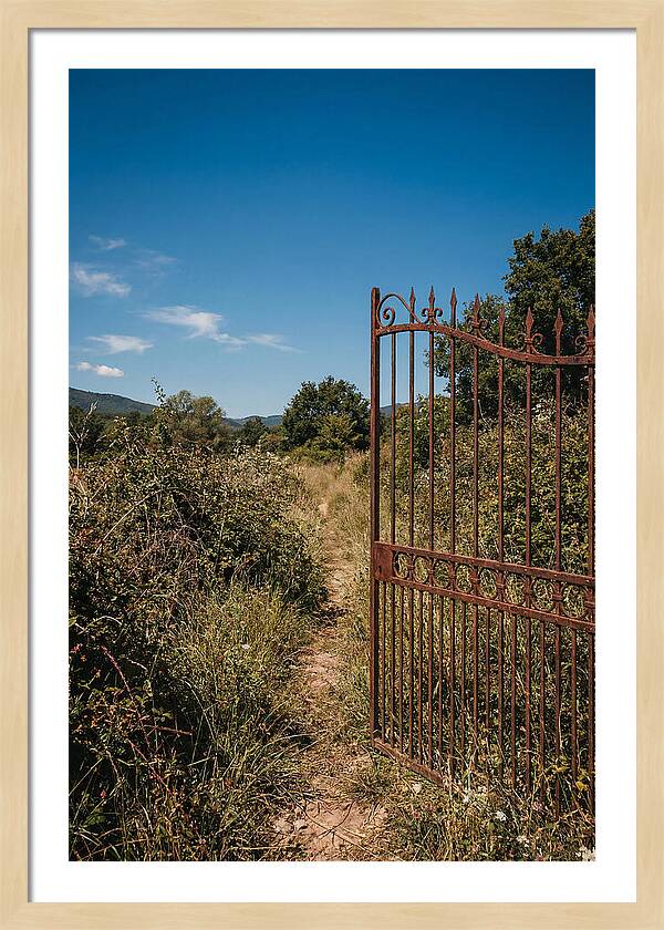 Rusted Iron Gate To Natures Embrace