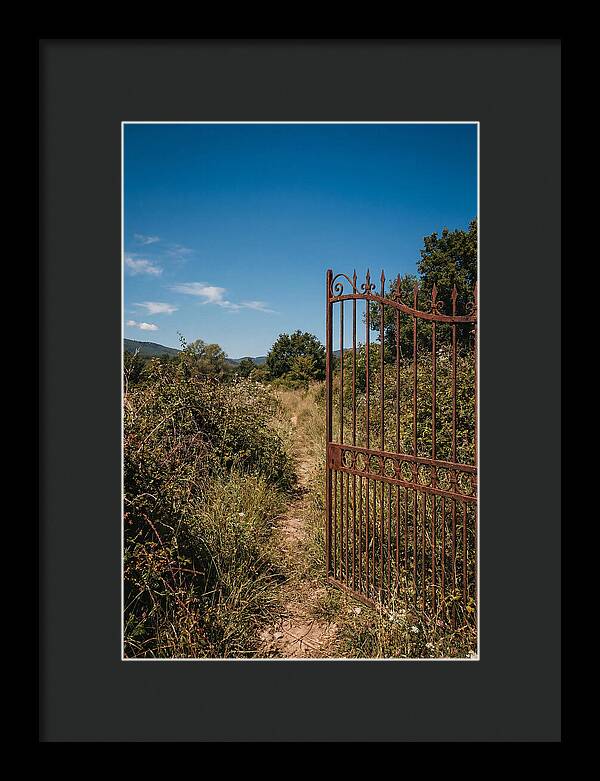 Rusted Iron Gate To Natures Embrace
