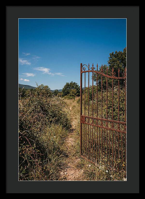 Rusted Iron Gate To Natures Embrace