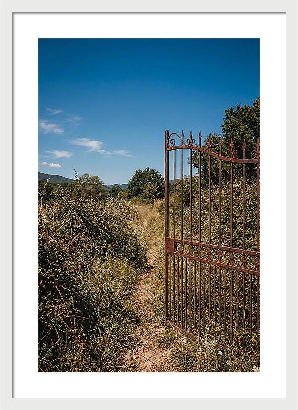 Rusted Iron Gate To Natures Embrace