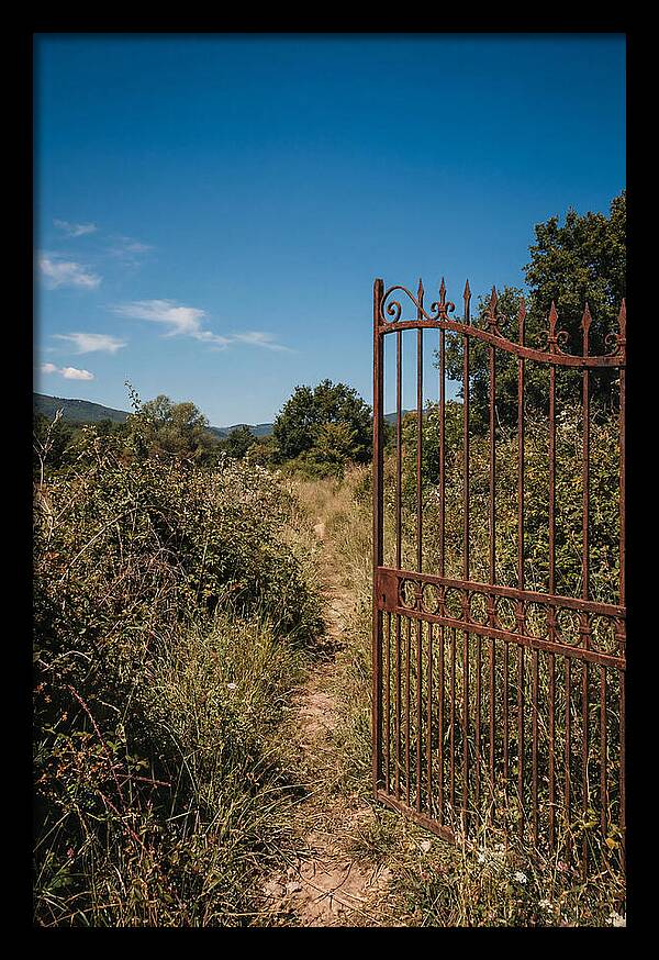 Rusted Iron Gate To Natures Embrace