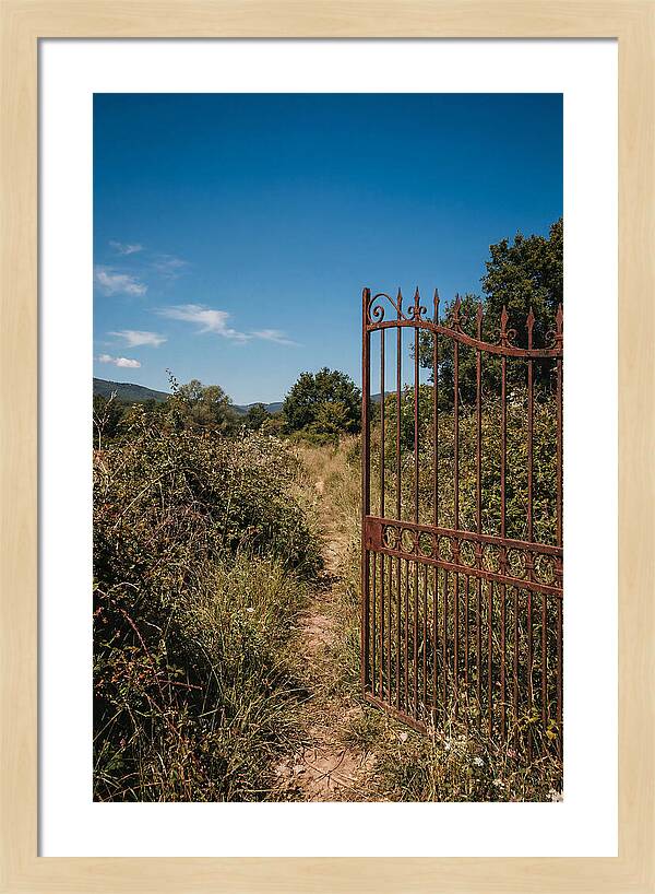 Rusted Iron Gate To Natures Embrace