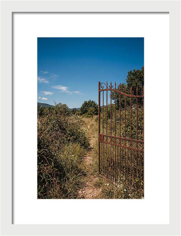 Rusted Iron Gate To Natures Embrace