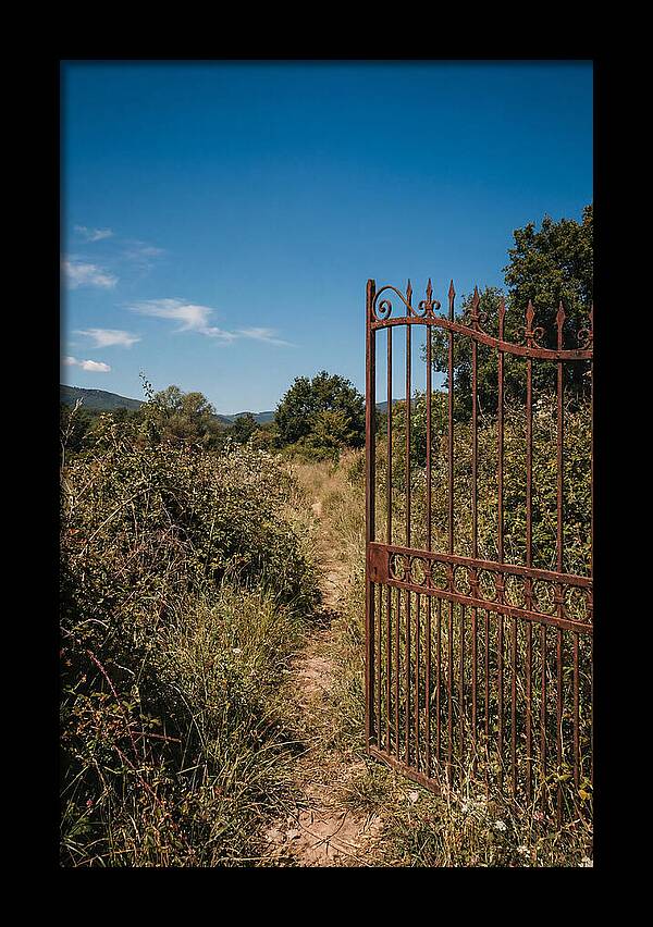 Rusted Iron Gate To Natures Embrace