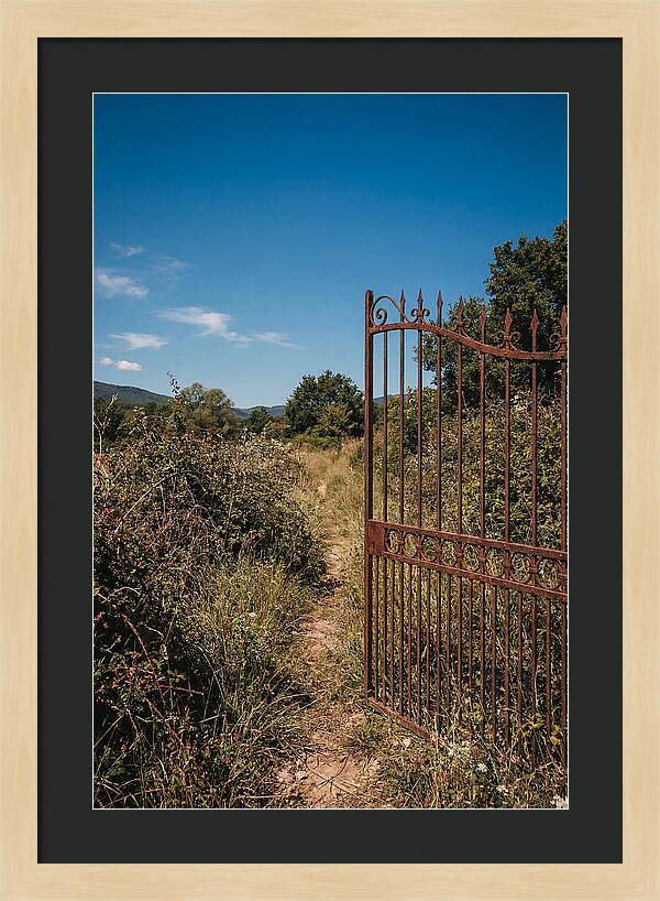 Rusted Iron Gate To Natures Embrace