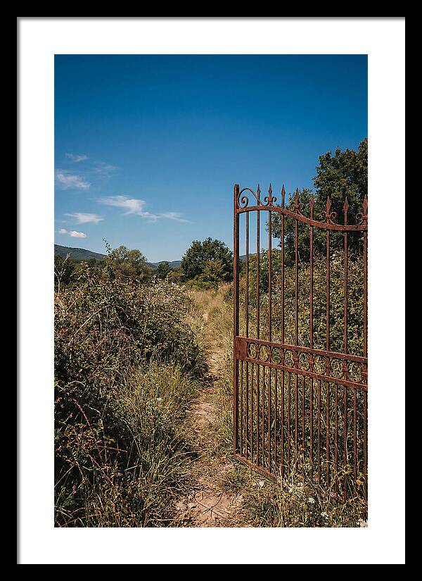 Rusted Iron Gate To Natures Embrace