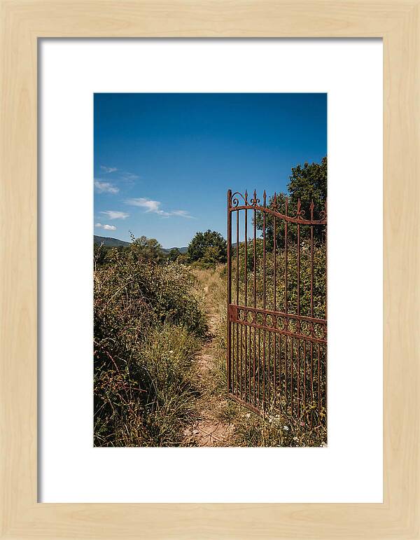 Rusted Iron Gate To Natures Embrace
