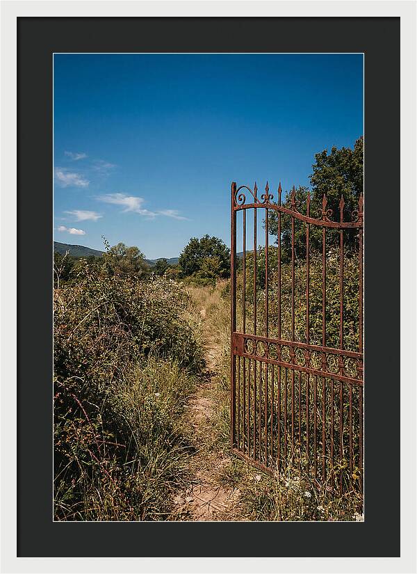 Rusted Iron Gate To Natures Embrace