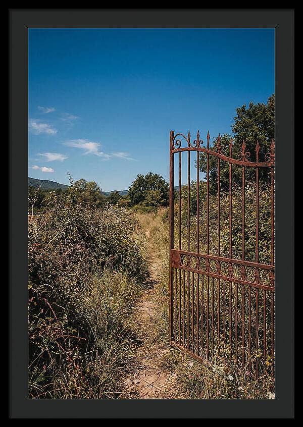 Rusted Iron Gate To Natures Embrace
