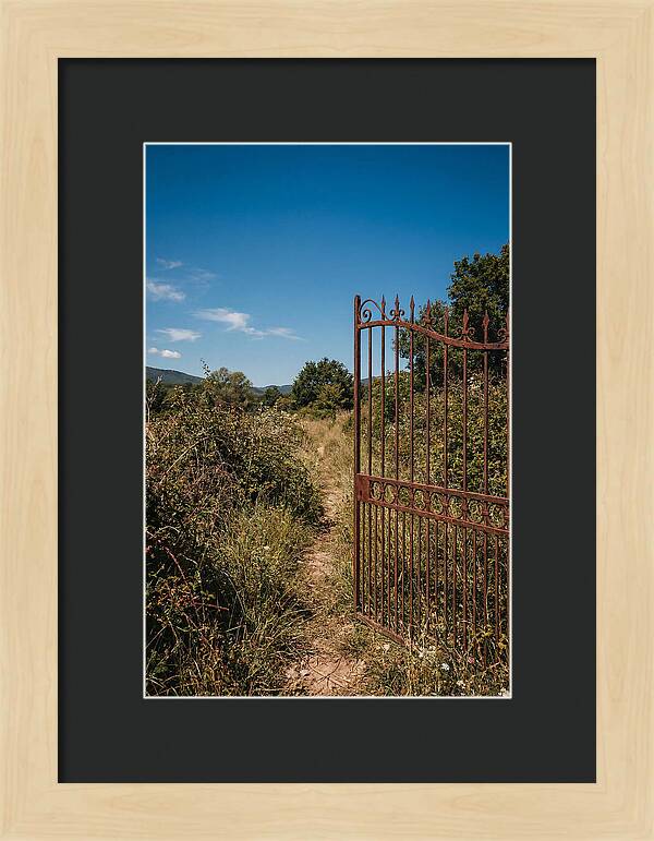 Rusted Iron Gate To Natures Embrace