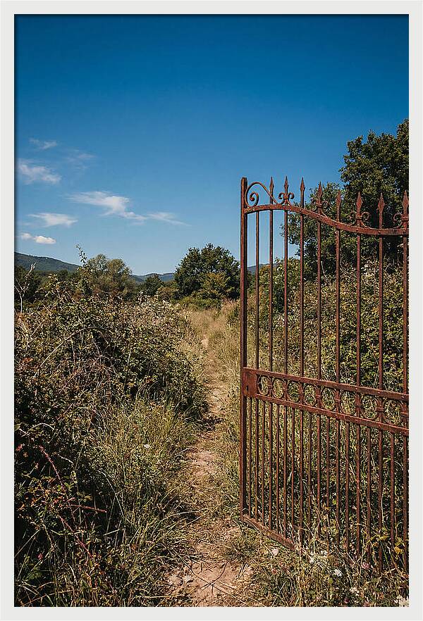 Rusted Iron Gate To Natures Embrace