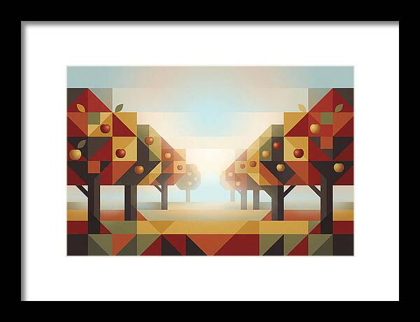Rustic Apple Orchard In Autumn