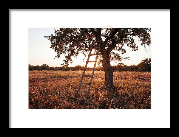 Rustic Ladder At Sunset
