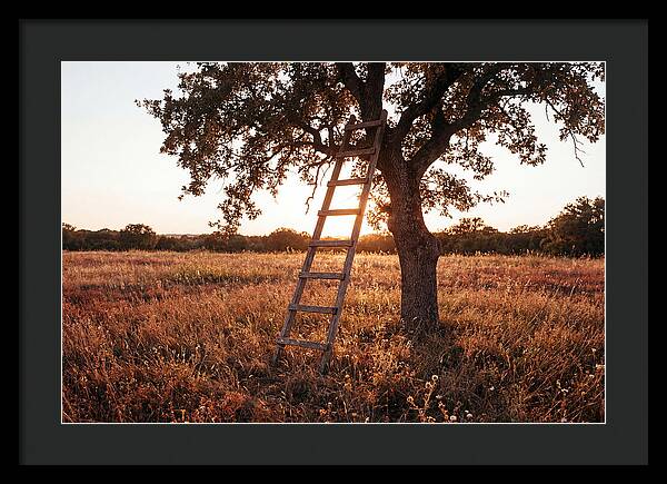 Rustic Ladder At Sunset