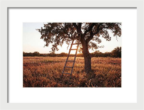 Rustic Ladder At Sunset