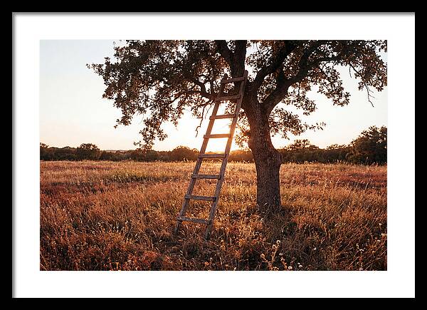 Rustic Ladder At Sunset
