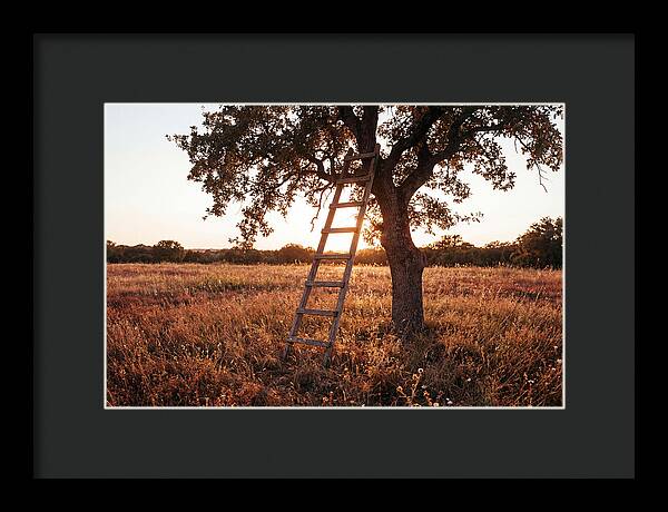 Rustic Ladder At Sunset