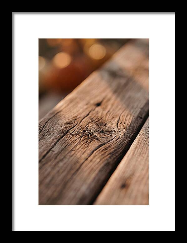Rustic Wood Texture Closeup