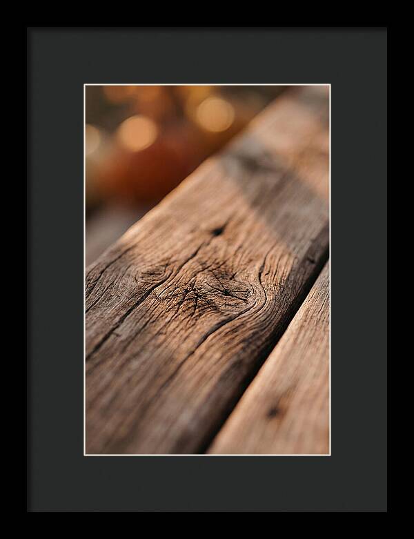 Rustic Wood Texture Closeup